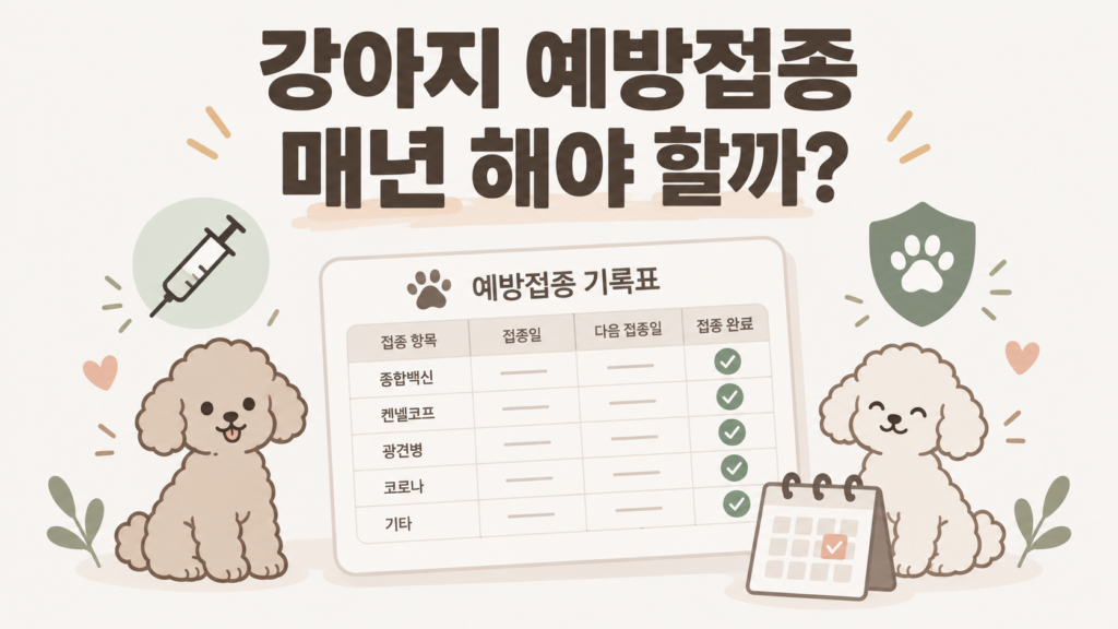 강아지 예방접종 매년 해야 할까를 설명하는 푸른이와 운이의 예방접종 기록표