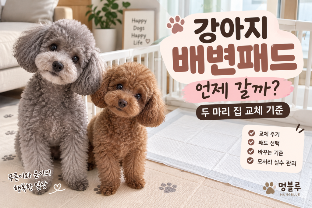 강아지 배변패드 교체 주기와 모서리 실수 관리 방법을 소개하는 푸른이와 운이 대표 이미지