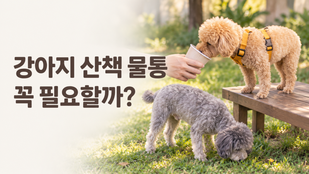 산책 중 종이컵으로 물을 마시는 갈색 푸들 푸른이와 잔디 냄새를 맡는 회색 푸들 운이